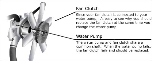 Replace the Fan Clutch and Water Pump at the Same Time